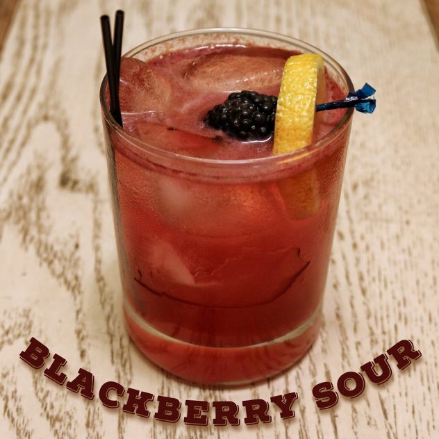Blackberry Bourbon Sour Cocktail